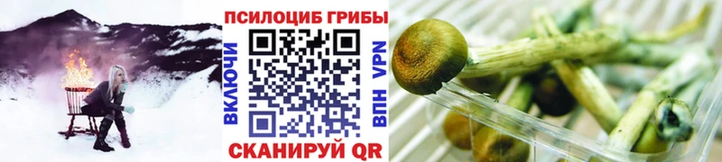 Галлюциногенные грибы ЛСД  Апшеронск 