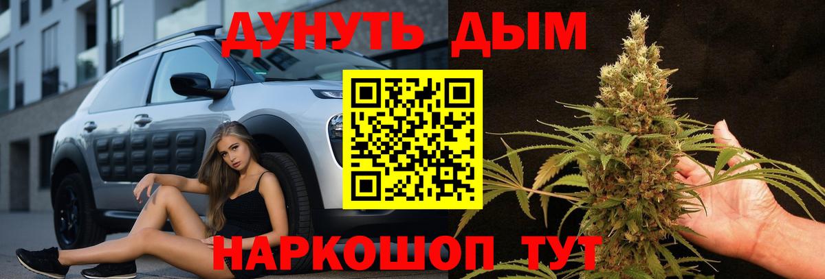 Конопля MAZAR Апшеронск